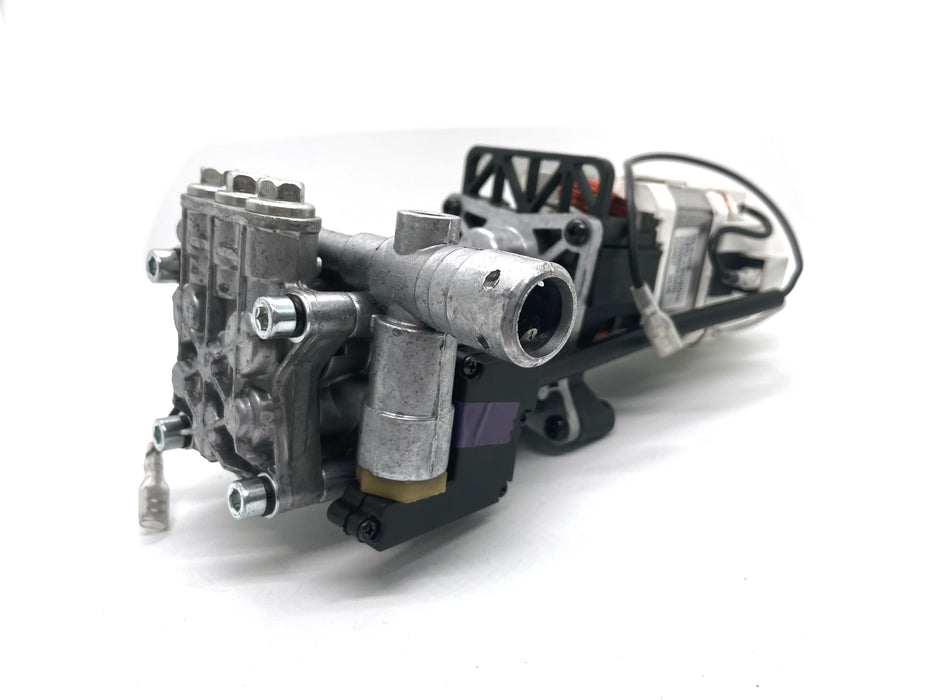 Pump Assembly PW1300SW-B